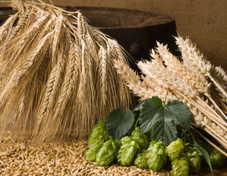 Зерновые культуры