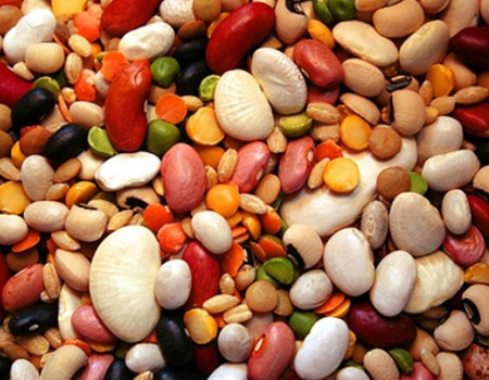 Бобовые культуры